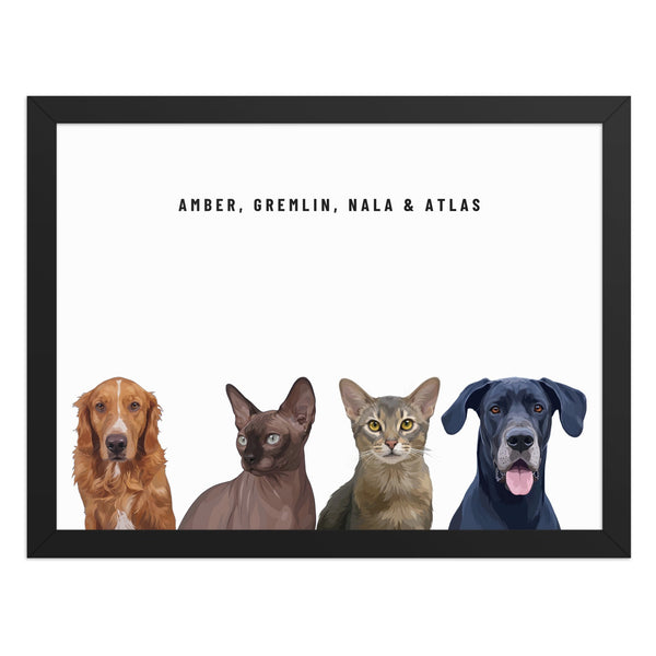 Custom Four Pet Portrait Framed Print (Black): Amber the Retriever (Toller type) & Gremlin the Sphynx cat & Nala the Abyssinian cat & Atlas the Great Dane on a White background.