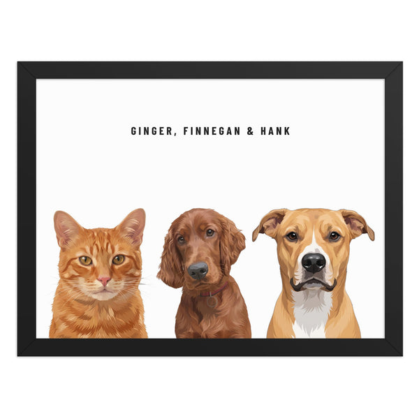 Custom Three Pet Portrait Framed Print (Black): Ginger the orange tabby cat & Finnegan the Irish Setter & Hank the mixed-breed dog on a White background.