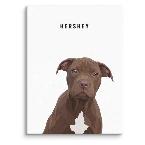 Custom Single Pet Portrait Canvas (Canvas): Hershey the Pit Bull on a White background.