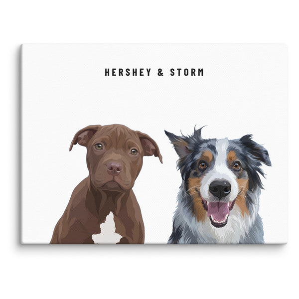Custom Two Pet Portrait Canvas (Canvas): Hershey the Pit Bull & Storm the Australian Shepherd on a White background.