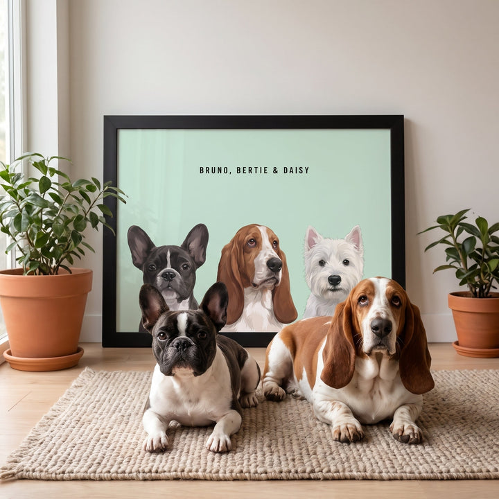 A custom pet portrait framed print (Black) featuring an illustration of Bruno the French Bulldog, Bertie the Basset Hound & Daisy the West Highland White Terrier, in a calm minimalist home office in soft morning daylight, with Bruno & Bertie nearby.