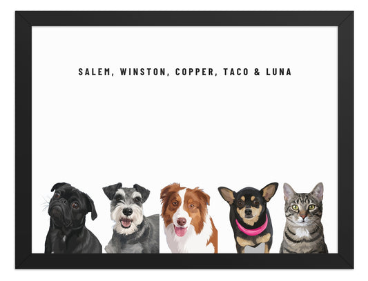 Custom Five Pet Portrait Framed Print (Black): Salem the Pug & Winston the Miniature Schnauzer & Copper the Australian Shepherd & Taco the Chihuahua & Luna the grey-brown tabby cat on a White background. [ks Frame=Black; Background=White]