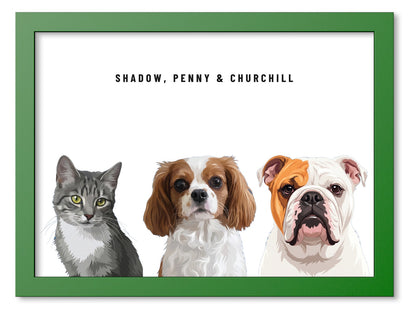 Custom Three Pet Portrait Coloured Frame Print (Forest Green): Shadow the grey tabby cat & Penny the Cavalier King Charles Spaniel & Churchill the English Bulldog on a White background. [ks Frame Colour=Forest Green; Background=White]