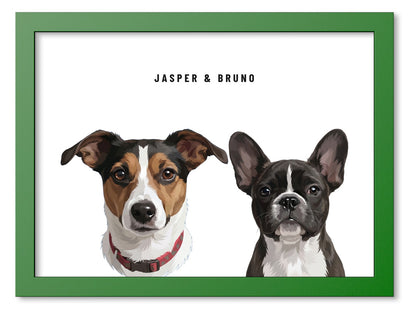Custom Two Pet Portrait Coloured Frame Print (Forest Green): Jasper the Jack Russell Terrier & Bruno the French Bulldog on a White background. [ks Frame Colour=Forest Green; Background=White]