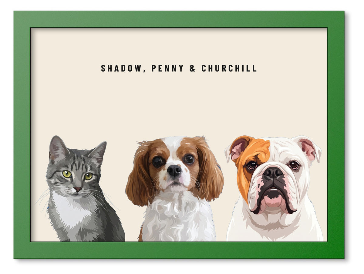 Custom Three Pet Portrait Coloured Frame Print (Forest Green): Shadow the grey tabby cat & Penny the Cavalier King Charles Spaniel & Churchill the English Bulldog on a Cream background. [ks Frame Colour=Forest Green; Background=Cream]