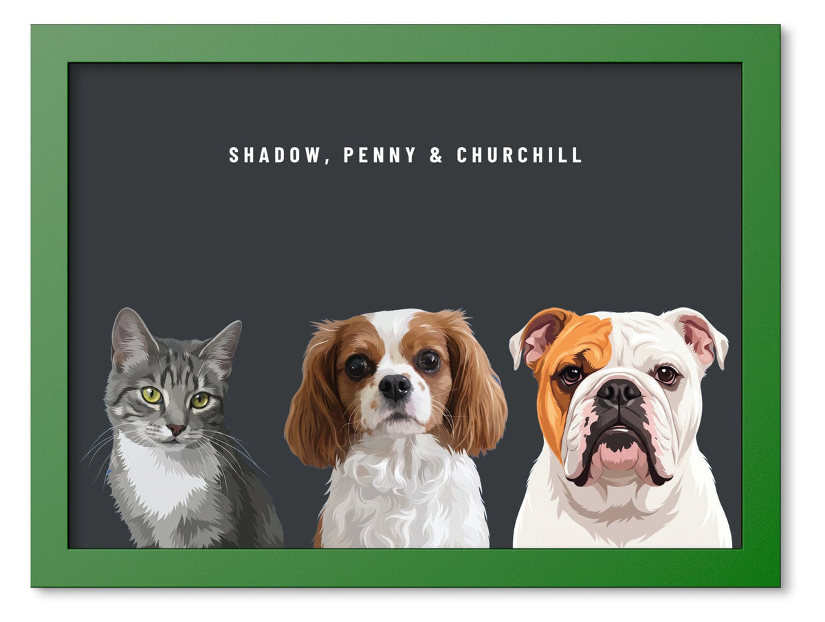 Custom Three Pet Portrait Coloured Frame Print (Forest Green): Shadow the grey tabby cat & Penny the Cavalier King Charles Spaniel & Churchill the English Bulldog on a Charcoal background. [ks Frame Colour=Forest Green; Background=Charcoal]