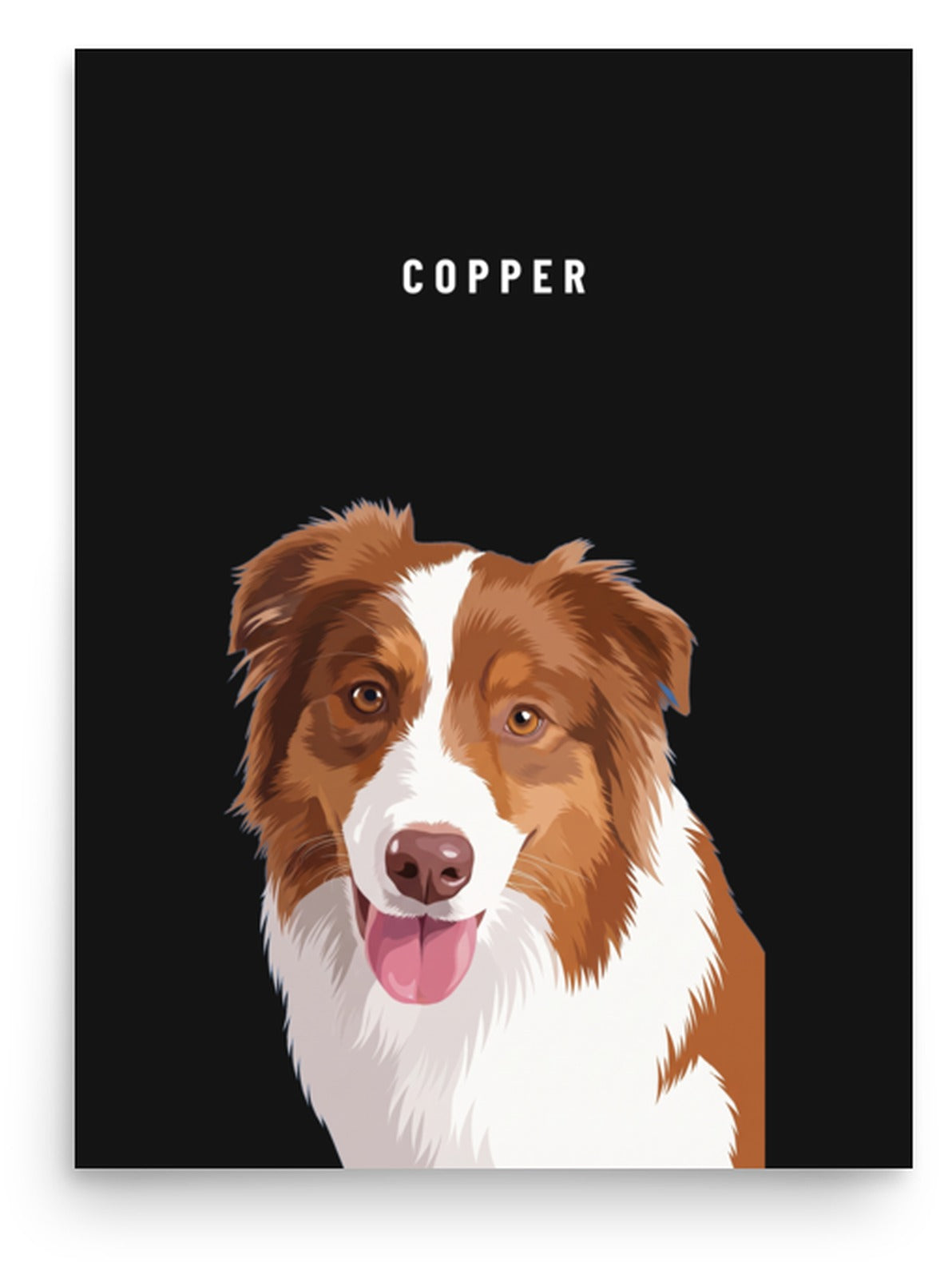 Custom Single Pet Portrait Poster Print: Copper the Australian Shepherd on a Obsidian background. [ks Background=Obsidian]