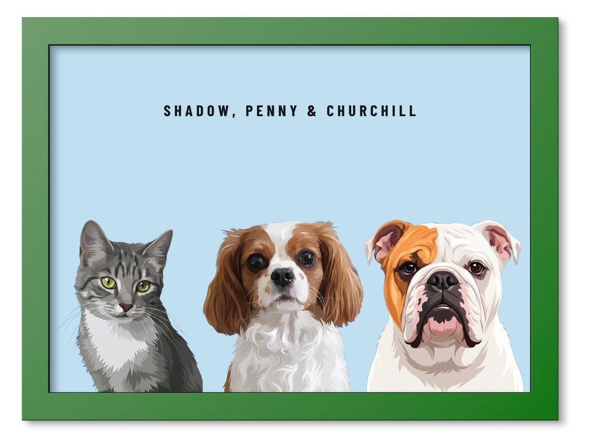 Custom Three Pet Portrait Coloured Frame Print (Forest Green): Shadow the grey tabby cat & Penny the Cavalier King Charles Spaniel & Churchill the English Bulldog on a Sky background. [ks Frame Colour=Forest Green; Background=Sky]
