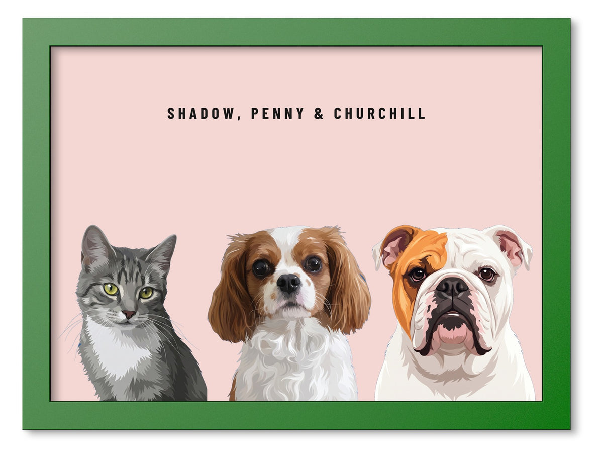 Custom Three Pet Portrait Coloured Frame Print (Forest Green): Shadow the grey tabby cat & Penny the Cavalier King Charles Spaniel & Churchill the English Bulldog on a Blush background. [ks Frame Colour=Forest Green; Background=Blush]