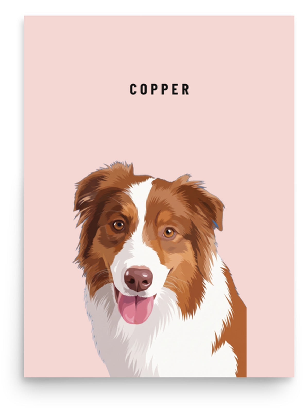 Custom Single Pet Portrait Poster Print: Copper the Australian Shepherd on a Blush background. [ks Background=Blush]