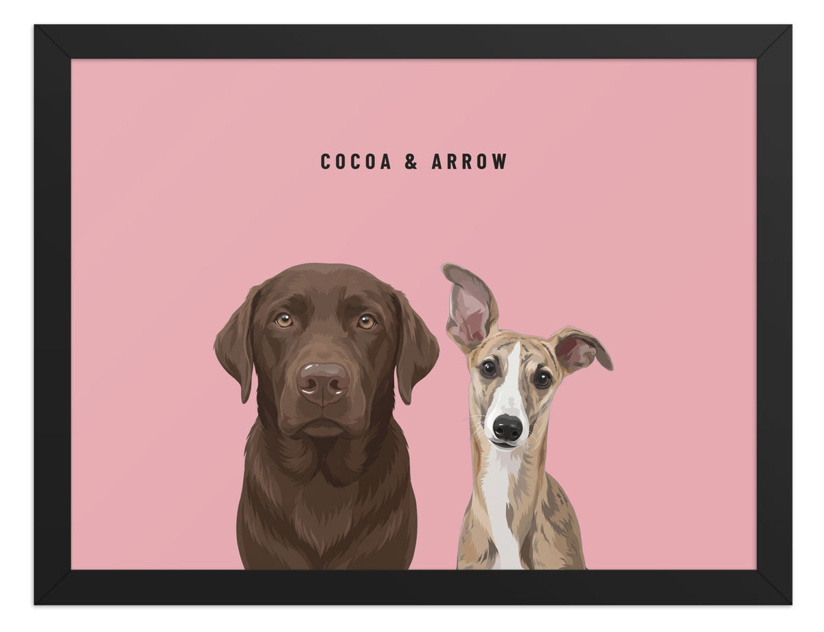 Custom Two Pet Portrait Framed Print (Black): Cocoa the chocolate Labrador & Arrow the Whippet on a Rose background. [ks Frame=Black; Background=Rose]