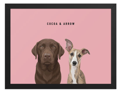 Custom Two Pet Portrait Framed Print (Black): Cocoa the chocolate Labrador & Arrow the Whippet on a Rose background. [ks Frame=Black; Background=Rose]