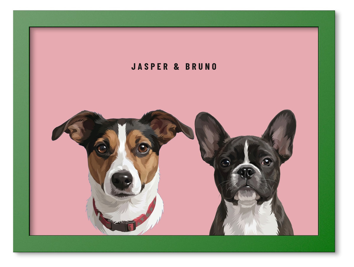 Custom Two Pet Portrait Coloured Frame Print (Forest Green): Jasper the Jack Russell Terrier & Bruno the French Bulldog on a Rose background. [ks Frame Colour=Forest Green; Background=Rose]