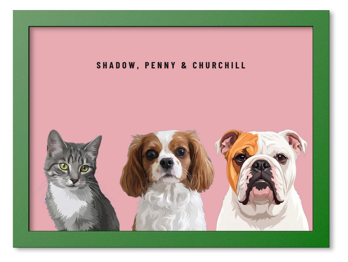 Custom Three Pet Portrait Coloured Frame Print (Forest Green): Shadow the grey tabby cat & Penny the Cavalier King Charles Spaniel & Churchill the English Bulldog on a Rose background. [ks Frame Colour=Forest Green; Background=Rose]