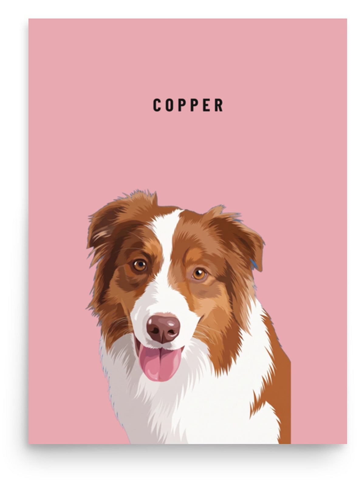Custom Single Pet Portrait Poster Print: Copper the Australian Shepherd on a Rose background. [ks Background=Rose]