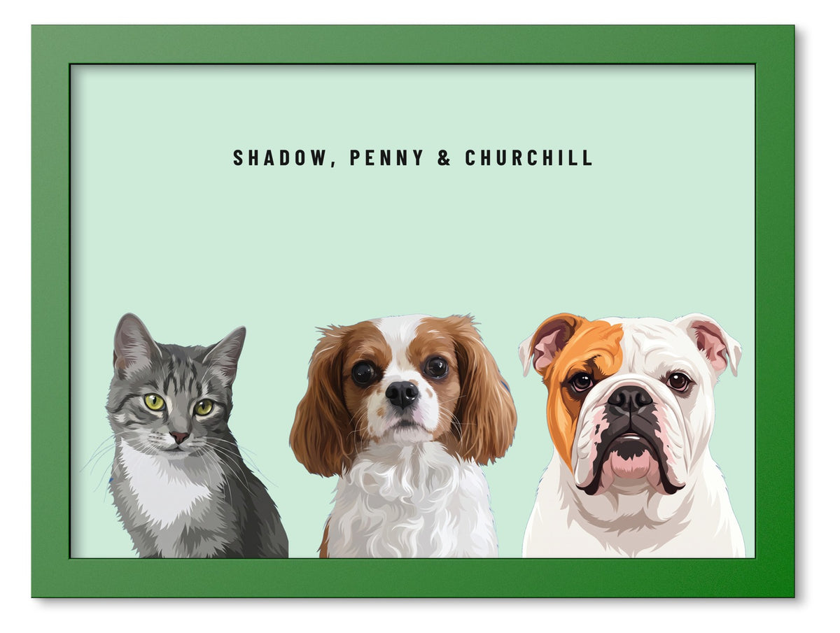 Custom Three Pet Portrait Coloured Frame Print (Forest Green): Shadow the grey tabby cat & Penny the Cavalier King Charles Spaniel & Churchill the English Bulldog on a Mint background. [ks Frame Colour=Forest Green; Background=Mint]
