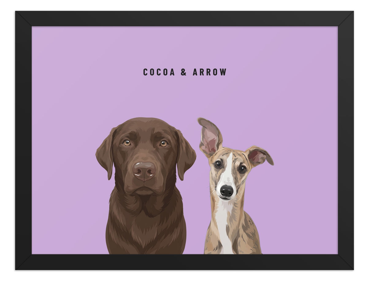 Custom Two Pet Portrait Framed Print (Black): Cocoa the chocolate Labrador & Arrow the Whippet on a Orchid background. [ks Frame=Black; Background=Orchid]