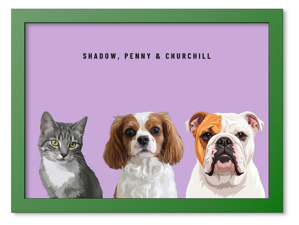 Custom Three Pet Portrait Coloured Frame Print (Forest Green): Shadow the grey tabby cat & Penny the Cavalier King Charles Spaniel & Churchill the English Bulldog on a Orchid background. [ks Frame Colour=Forest Green; Background=Orchid]