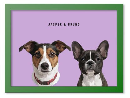 Custom Two Pet Portrait Coloured Frame Print (Forest Green): Jasper the Jack Russell Terrier & Bruno the French Bulldog on a Orchid background. [ks Frame Colour=Forest Green; Background=Orchid]