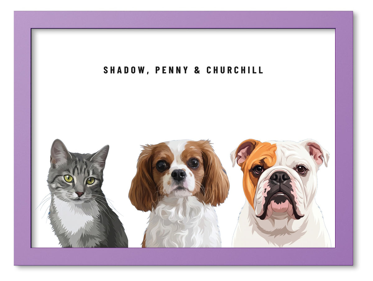 Custom Three Pet Portrait Coloured Frame Print (Lilac): Shadow the grey tabby cat & Penny the Cavalier King Charles Spaniel & Churchill the English Bulldog on a White background. [ks Frame Colour=Lilac; Background=White]