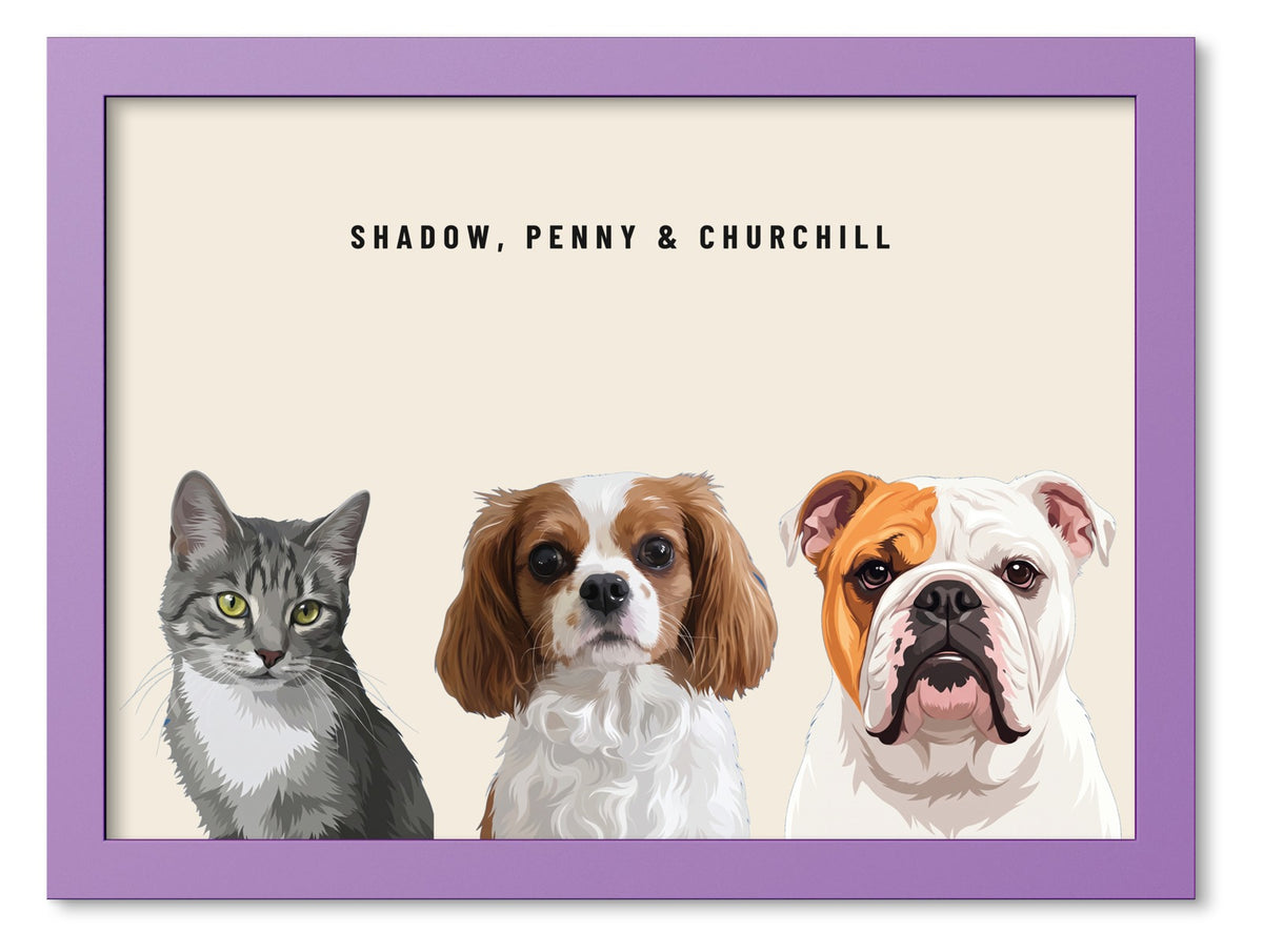 Custom Three Pet Portrait Coloured Frame Print (Lilac): Shadow the grey tabby cat & Penny the Cavalier King Charles Spaniel & Churchill the English Bulldog on a Cream background. [ks Frame Colour=Lilac; Background=Cream]