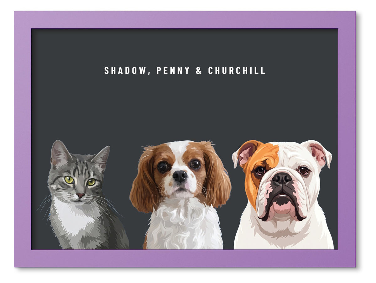 Custom Three Pet Portrait Coloured Frame Print (Lilac): Shadow the grey tabby cat & Penny the Cavalier King Charles Spaniel & Churchill the English Bulldog on a Charcoal background. [ks Frame Colour=Lilac; Background=Charcoal]