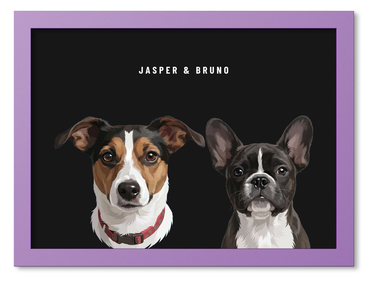 Custom Two Pet Portrait Coloured Frame Print (Lilac): Jasper the Jack Russell Terrier & Bruno the French Bulldog on a Obsidian background. [ks Frame Colour=Lilac; Background=Obsidian]