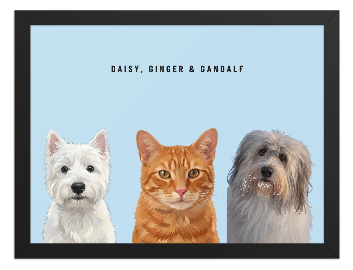 Holiday Custom Three Pet Portrait (Black Frame): Daisy the West Highland White Terrier & Ginger the orange tabby cat & Gandalf the Sheepdog on a Sky background. [ks Style=Black Frame; Background=Sky]