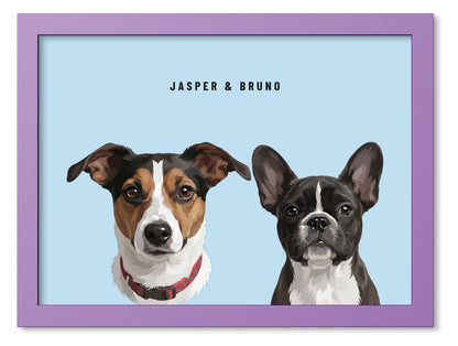 Custom Two Pet Portrait Coloured Frame Print (Lilac): Jasper the Jack Russell Terrier & Bruno the French Bulldog on a Sky background. [ks Frame Colour=Lilac; Background=Sky]