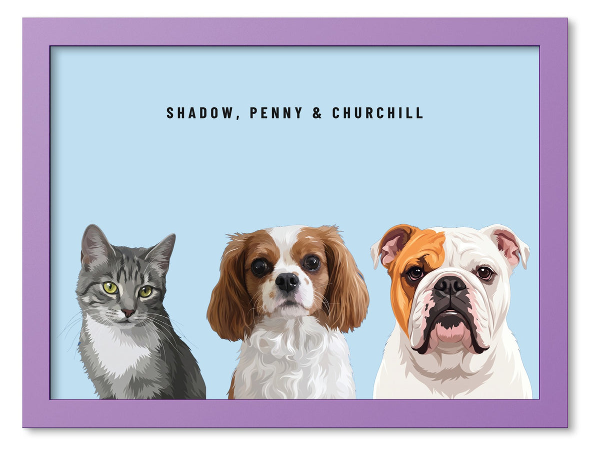 Custom Three Pet Portrait Coloured Frame Print (Lilac): Shadow the grey tabby cat & Penny the Cavalier King Charles Spaniel & Churchill the English Bulldog on a Sky background. [ks Frame Colour=Lilac; Background=Sky]