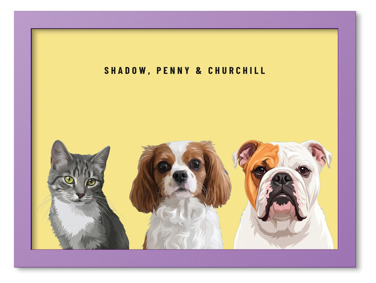 Custom Three Pet Portrait Coloured Frame Print (Lilac): Shadow the grey tabby cat & Penny the Cavalier King Charles Spaniel & Churchill the English Bulldog on a Lemon background. [ks Frame Colour=Lilac; Background=Lemon]