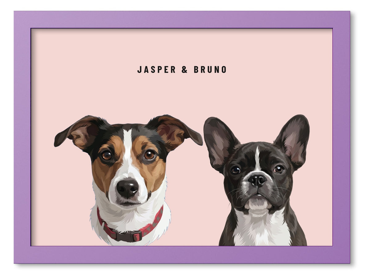 Custom Two Pet Portrait Coloured Frame Print (Lilac): Jasper the Jack Russell Terrier & Bruno the French Bulldog on a Blush background. [ks Frame Colour=Lilac; Background=Blush]