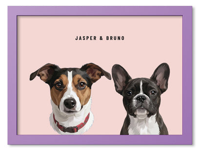 Custom Two Pet Portrait Coloured Frame Print (Lilac): Jasper the Jack Russell Terrier & Bruno the French Bulldog on a Blush background. [ks Frame Colour=Lilac; Background=Blush]