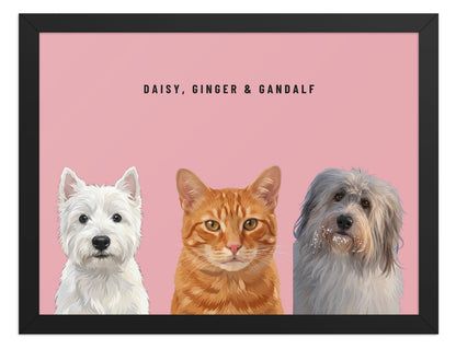 Holiday Custom Three Pet Portrait (Black Frame): Daisy the West Highland White Terrier & Ginger the orange tabby cat & Gandalf the Sheepdog on a Rose background. [ks Style=Black Frame; Background=Rose]