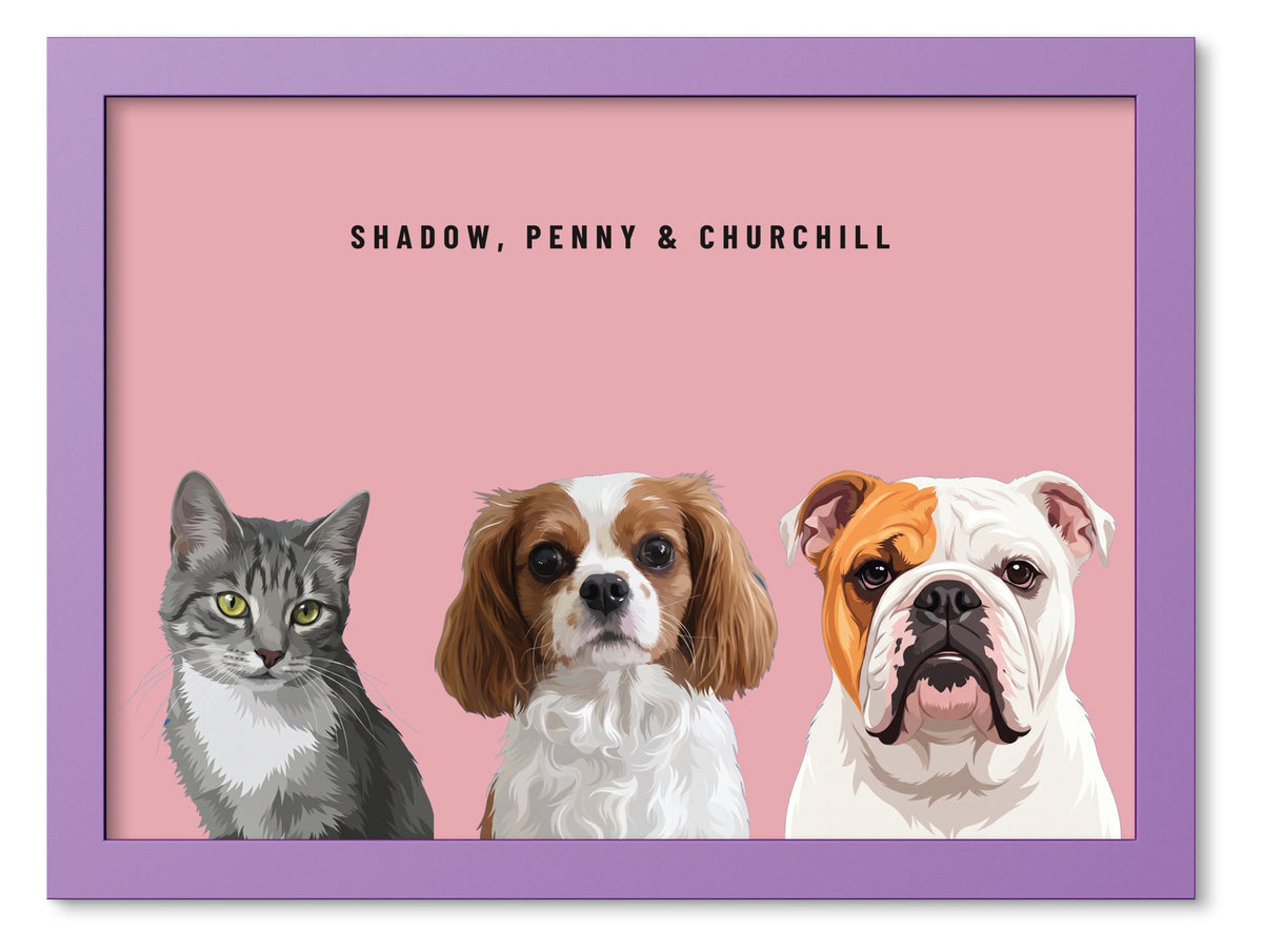 Custom Three Pet Portrait Coloured Frame Print (Lilac): Shadow the grey tabby cat & Penny the Cavalier King Charles Spaniel & Churchill the English Bulldog on a Rose background. [ks Frame Colour=Lilac; Background=Rose]