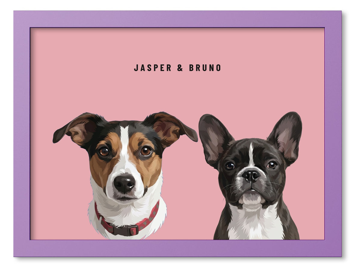 Custom Two Pet Portrait Coloured Frame Print (Lilac): Jasper the Jack Russell Terrier & Bruno the French Bulldog on a Rose background. [ks Frame Colour=Lilac; Background=Rose]