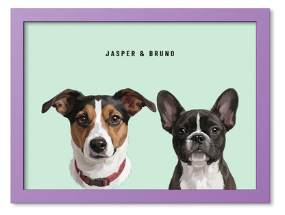 Custom Two Pet Portrait Coloured Frame Print (Lilac): Jasper the Jack Russell Terrier & Bruno the French Bulldog on a Mint background. [ks Frame Colour=Lilac; Background=Mint]