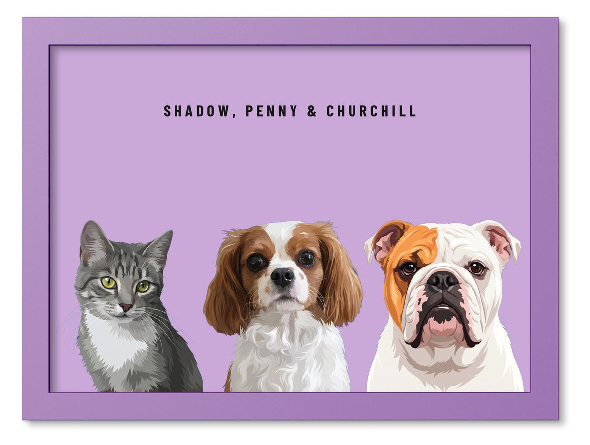 Custom Three Pet Portrait Coloured Frame Print (Lilac): Shadow the grey tabby cat & Penny the Cavalier King Charles Spaniel & Churchill the English Bulldog on a Orchid background. [ks Frame Colour=Lilac; Background=Orchid]