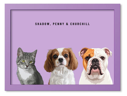 Custom Three Pet Portrait Coloured Frame Print (Lilac): Shadow the grey tabby cat & Penny the Cavalier King Charles Spaniel & Churchill the English Bulldog on a Orchid background. [ks Frame Colour=Lilac; Background=Orchid]