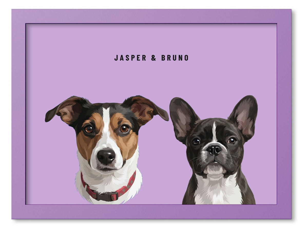 Custom Two Pet Portrait Coloured Frame Print (Lilac): Jasper the Jack Russell Terrier & Bruno the French Bulldog on a Orchid background. [ks Frame Colour=Lilac; Background=Orchid]