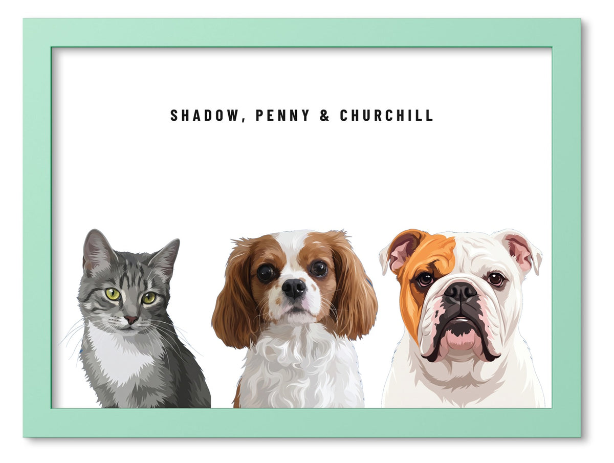 Custom Three Pet Portrait Coloured Frame Print (Mint Green): Shadow the grey tabby cat & Penny the Cavalier King Charles Spaniel & Churchill the English Bulldog on a White background. [ks Frame Colour=Mint Green; Background=White]