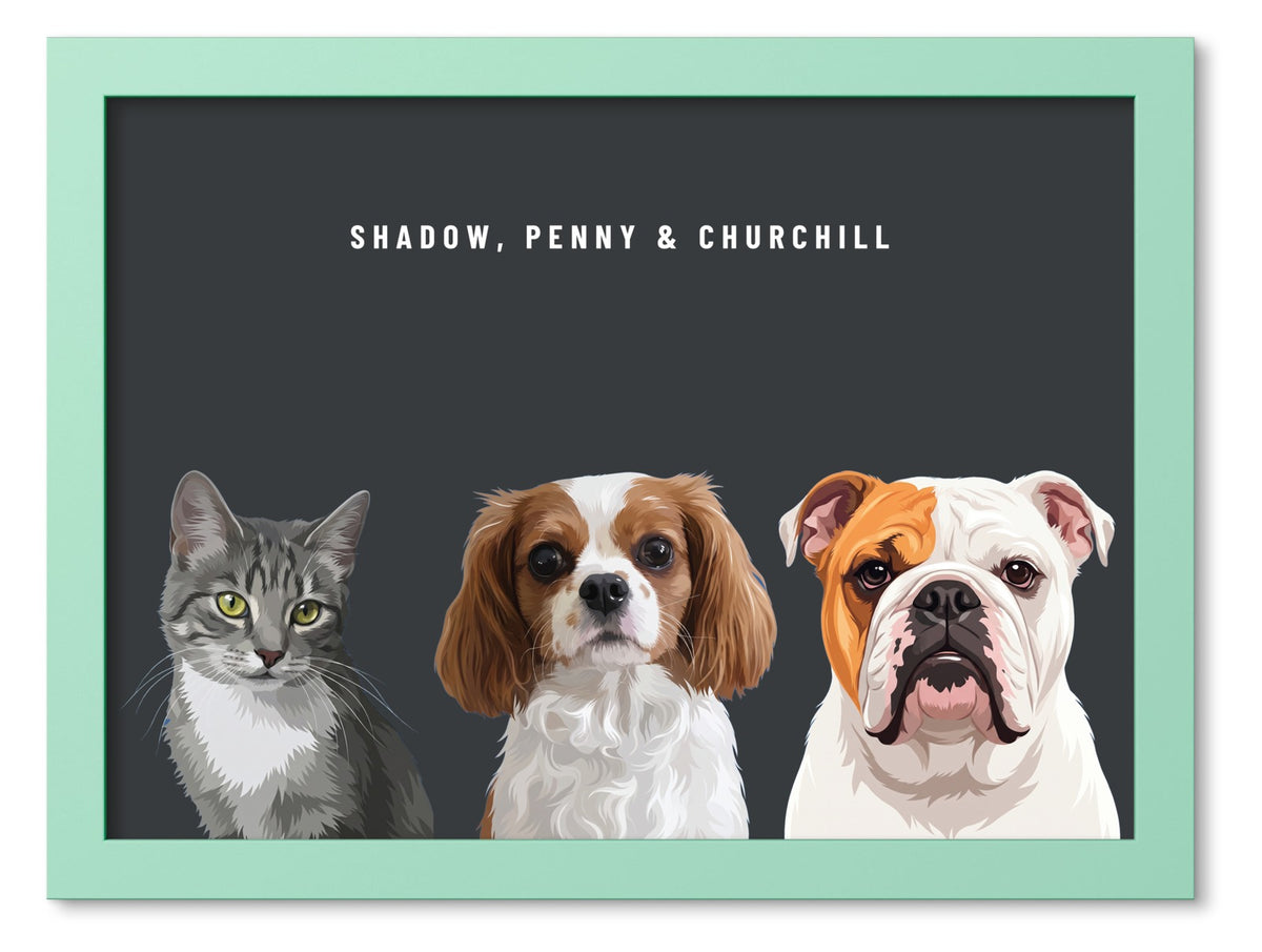 Custom Three Pet Portrait Coloured Frame Print (Mint Green): Shadow the grey tabby cat & Penny the Cavalier King Charles Spaniel & Churchill the English Bulldog on a Charcoal background. [ks Frame Colour=Mint Green; Background=Charcoal]
