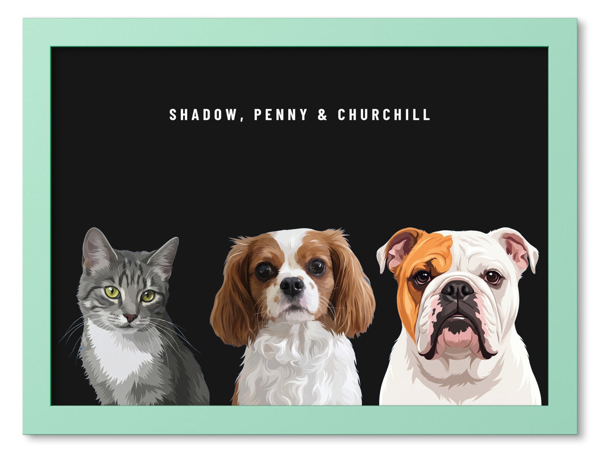 Custom Three Pet Portrait Coloured Frame Print (Mint Green): Shadow the grey tabby cat & Penny the Cavalier King Charles Spaniel & Churchill the English Bulldog on a Obsidian background. [ks Frame Colour=Mint Green; Background=Obsidian]