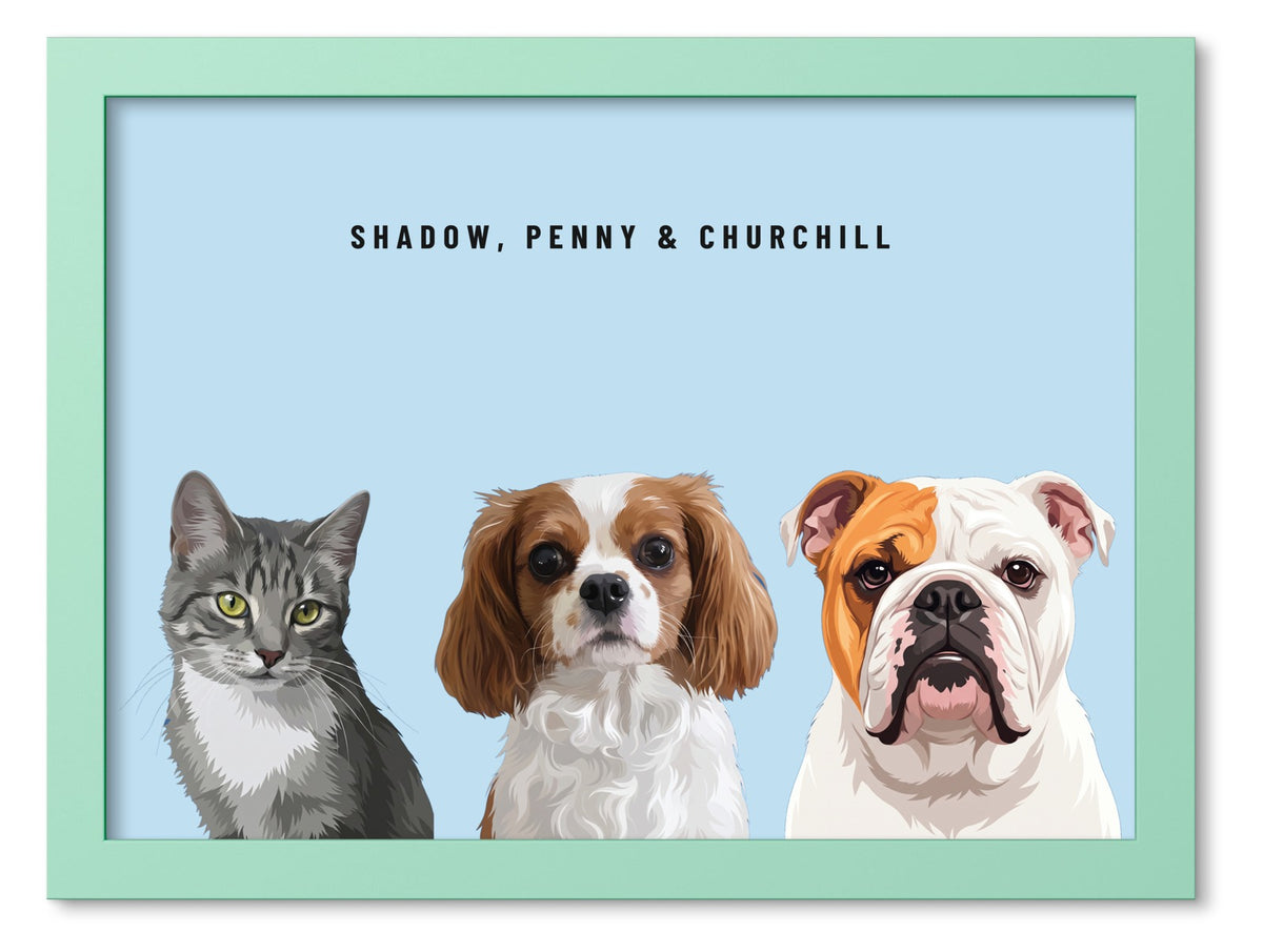 Custom Three Pet Portrait Coloured Frame Print (Mint Green): Shadow the grey tabby cat & Penny the Cavalier King Charles Spaniel & Churchill the English Bulldog on a Sky background. [ks Frame Colour=Mint Green; Background=Sky]