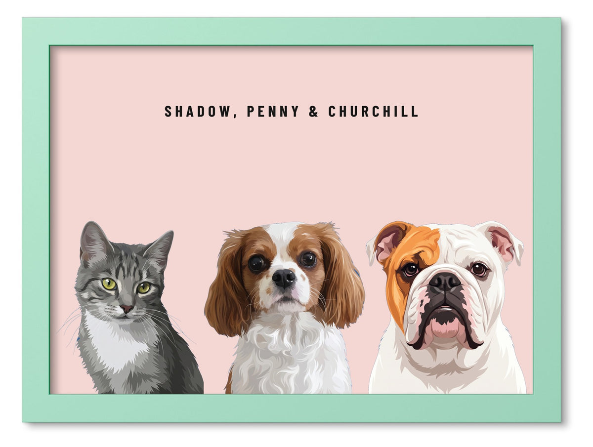 Custom Three Pet Portrait Coloured Frame Print (Mint Green): Shadow the grey tabby cat & Penny the Cavalier King Charles Spaniel & Churchill the English Bulldog on a Blush background. [ks Frame Colour=Mint Green; Background=Blush]