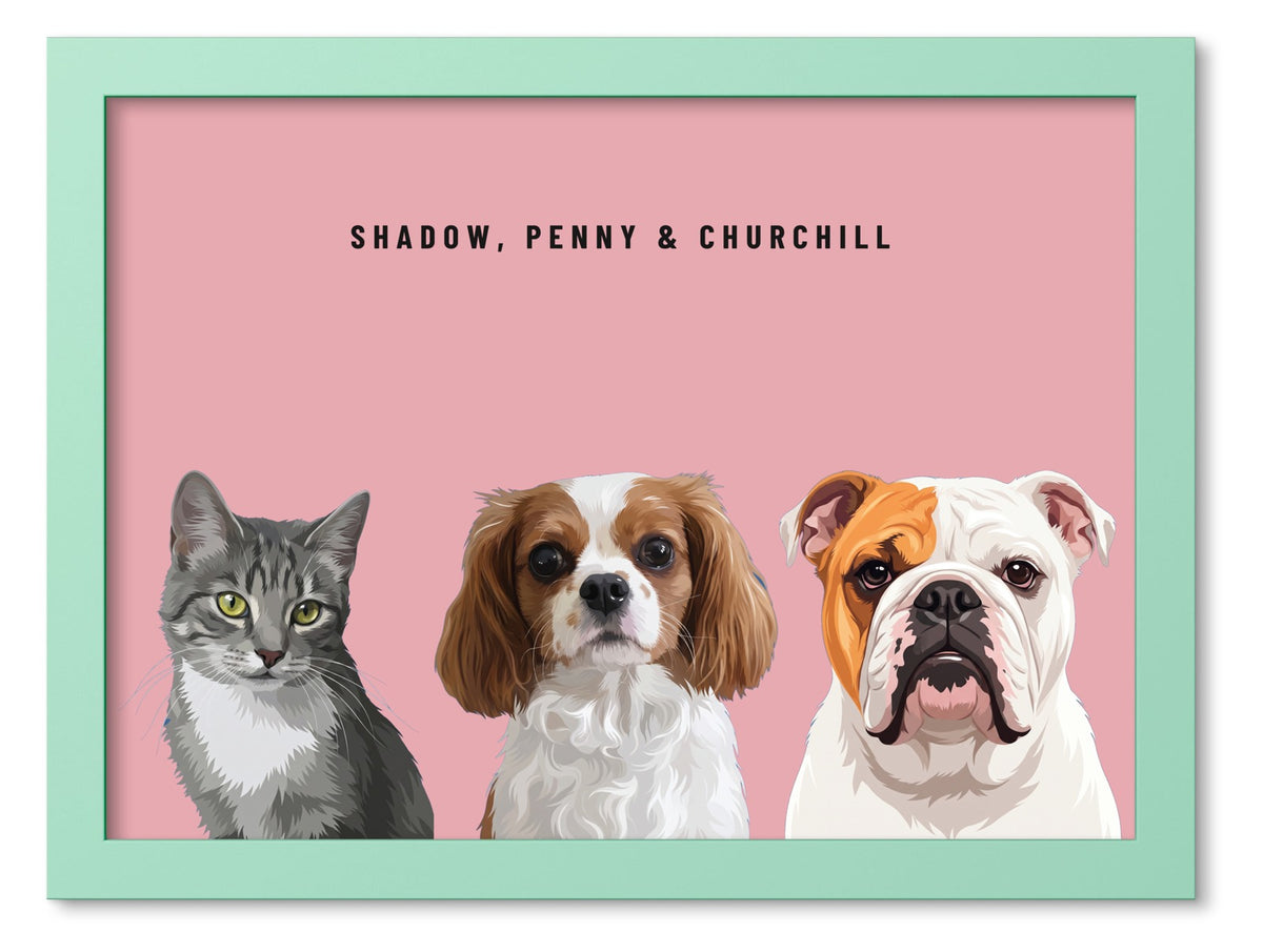 Custom Three Pet Portrait Coloured Frame Print (Mint Green): Shadow the grey tabby cat & Penny the Cavalier King Charles Spaniel & Churchill the English Bulldog on a Rose background. [ks Frame Colour=Mint Green; Background=Rose]