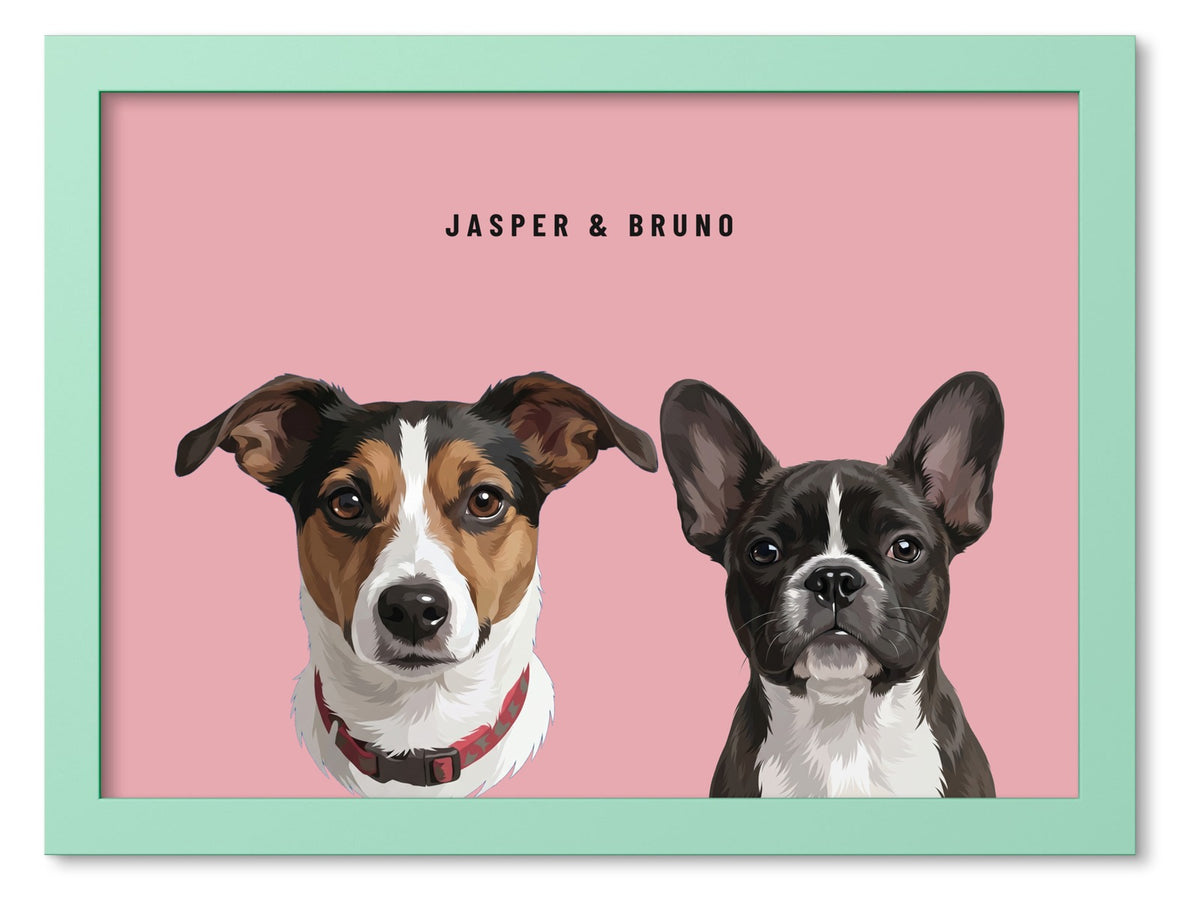 Custom Two Pet Portrait Coloured Frame Print (Mint Green): Jasper the Jack Russell Terrier & Bruno the French Bulldog on a Rose background. [ks Frame Colour=Mint Green; Background=Rose]