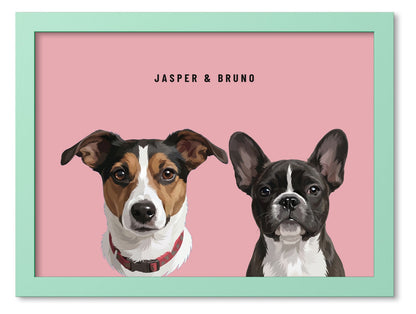 Custom Two Pet Portrait Coloured Frame Print (Mint Green): Jasper the Jack Russell Terrier & Bruno the French Bulldog on a Rose background. [ks Frame Colour=Mint Green; Background=Rose]