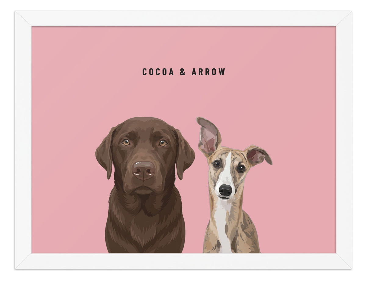 Custom Two Pet Portrait Framed Print (White): Cocoa the chocolate Labrador & Arrow the Whippet on a Rose background. [ks Frame=White; Background=Rose]
