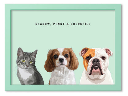 Custom Three Pet Portrait Coloured Frame Print (Mint Green): Shadow the grey tabby cat & Penny the Cavalier King Charles Spaniel & Churchill the English Bulldog on a Mint background. [ks Frame Colour=Mint Green; Background=Mint]
